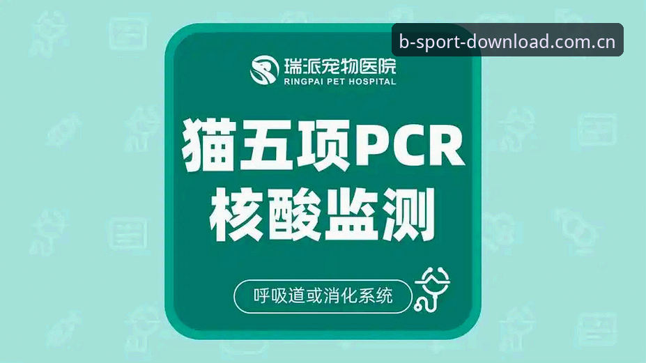为什么b体育官方安卓安装包成了体育娱乐玩家的新宠？